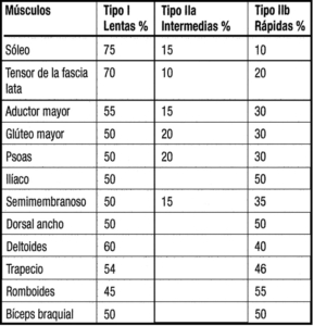 Tablas Clasificacion fibras musculares . rpg