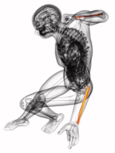 Screenshot 2025-12-02 at 17.49.09